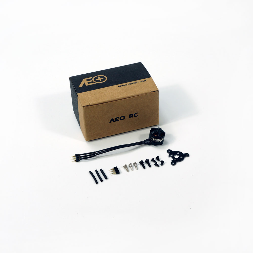 Mini Micro MC1106 3800KV Brush - огляд і ціна Rc Plane Hobby Zone