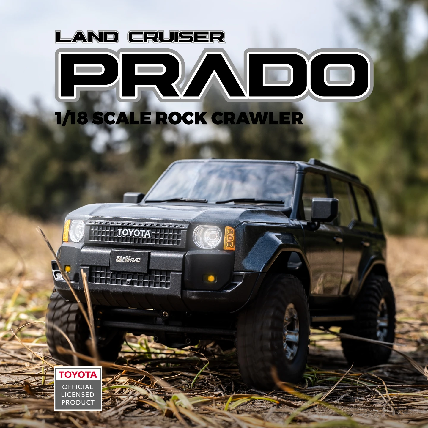 UDIRC 1/18 1/24 Scale Rock Cra - огляд і ціна Rc Hobby Grade Truck